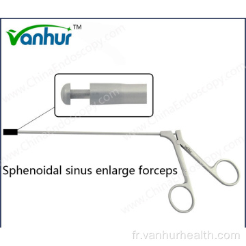 EN T Sinuscopie Sinus Sphénoïdal Agrandir Forceps